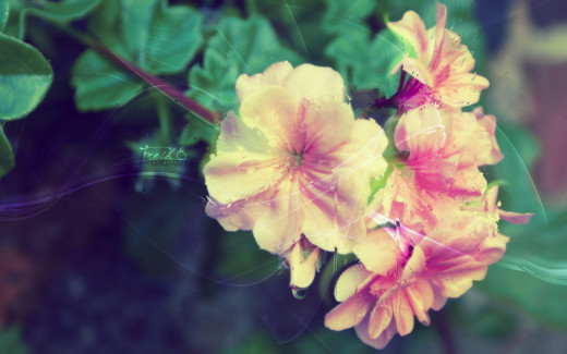470882 (a): :1920x1200